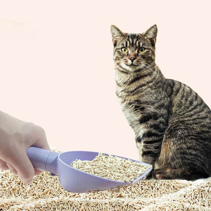 Durable cat litter scoop with foot
