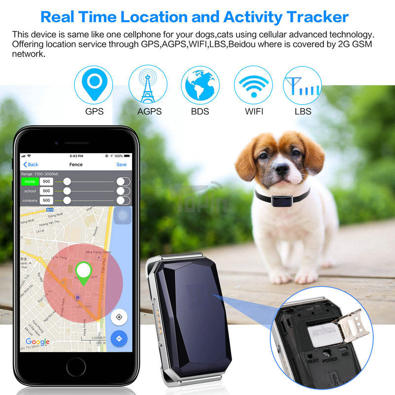 Lokalizator GPS dla psów i kotów