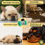 Smart Pet Food Dispenser for Small Pets