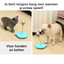 Interactive food bowl &amp; puzzle toy – non-slip, slow feeding &amp; fun