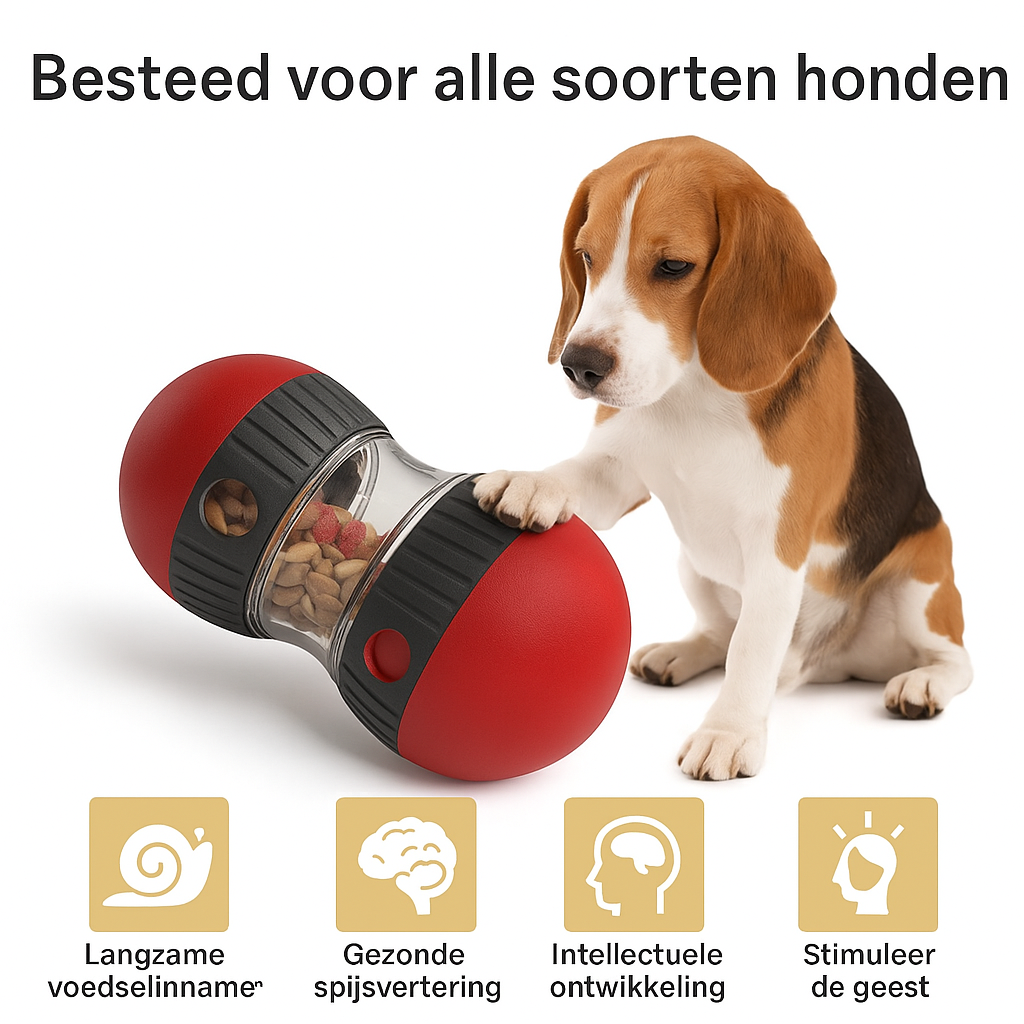 Dog food toy – slow feeding &amp; fun