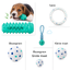 Interactive chew toy for dogs – supports dental care