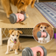 Interactive robot bear – food dispenser &amp; moving toy for dogs and cats