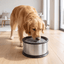 Slow Feeder Stainless Steel