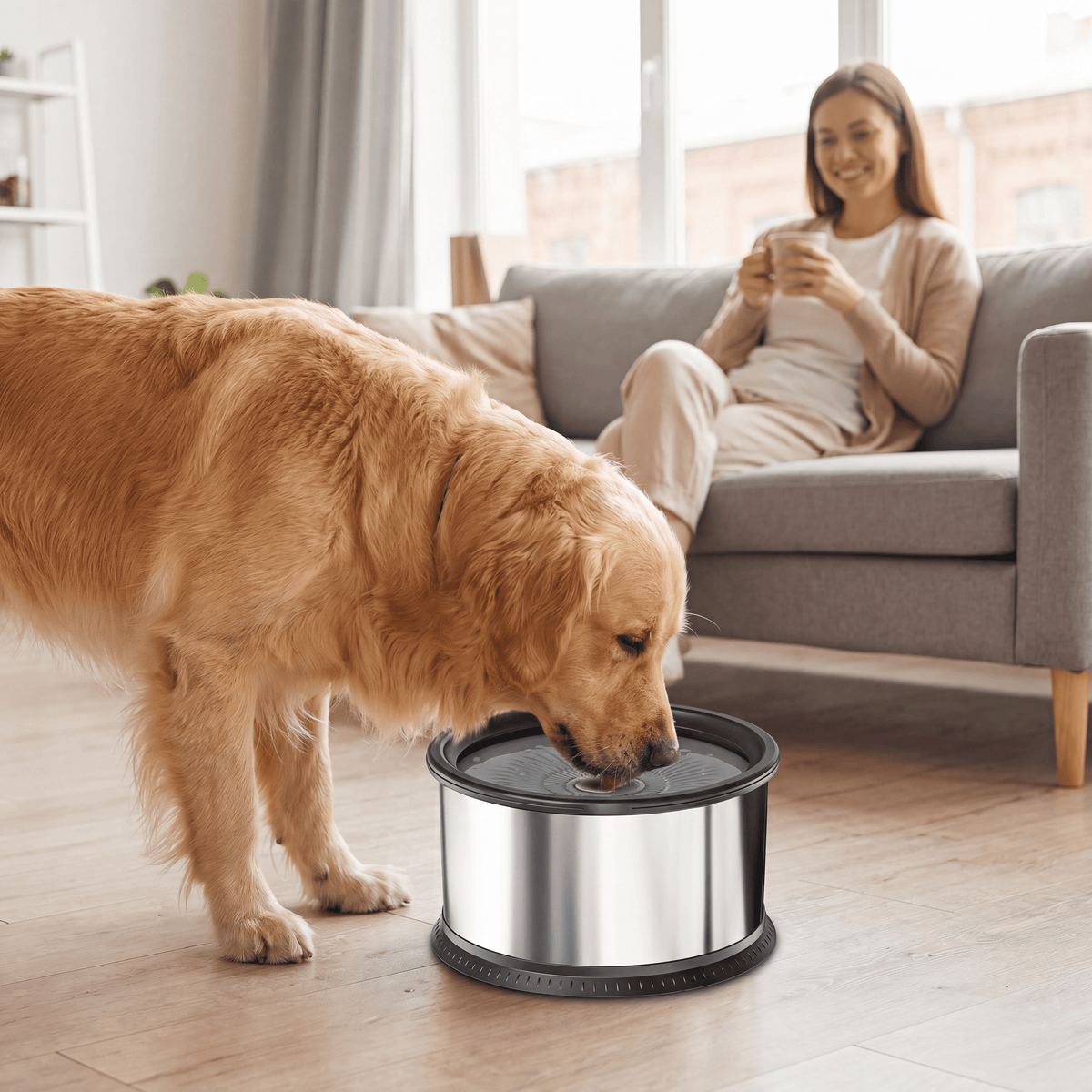 Slow Feeder Stainless Steel