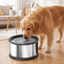Slow Feeder Stainless Steel