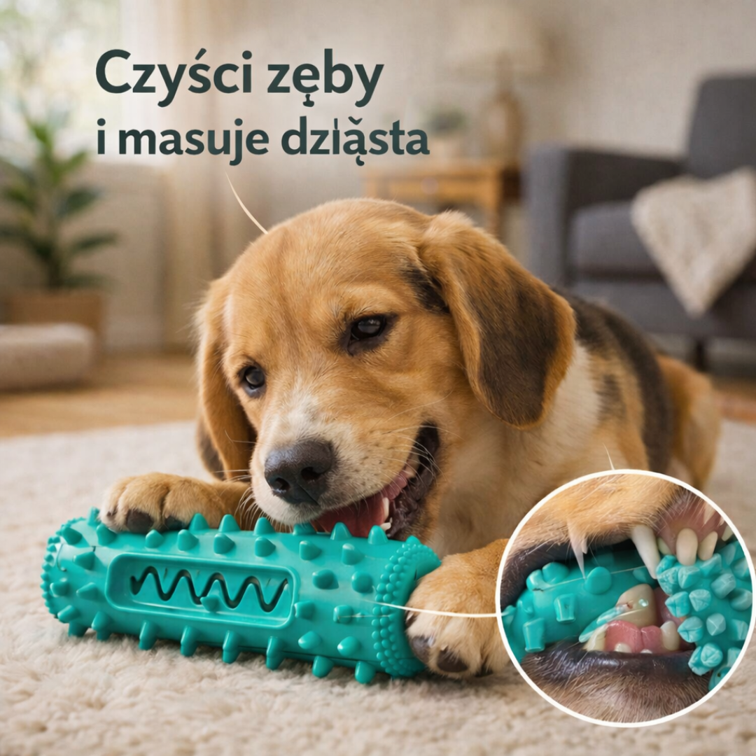 Zabawka do Żucia z Piszczałką – Czyści Zęby i Uspokaja Psa