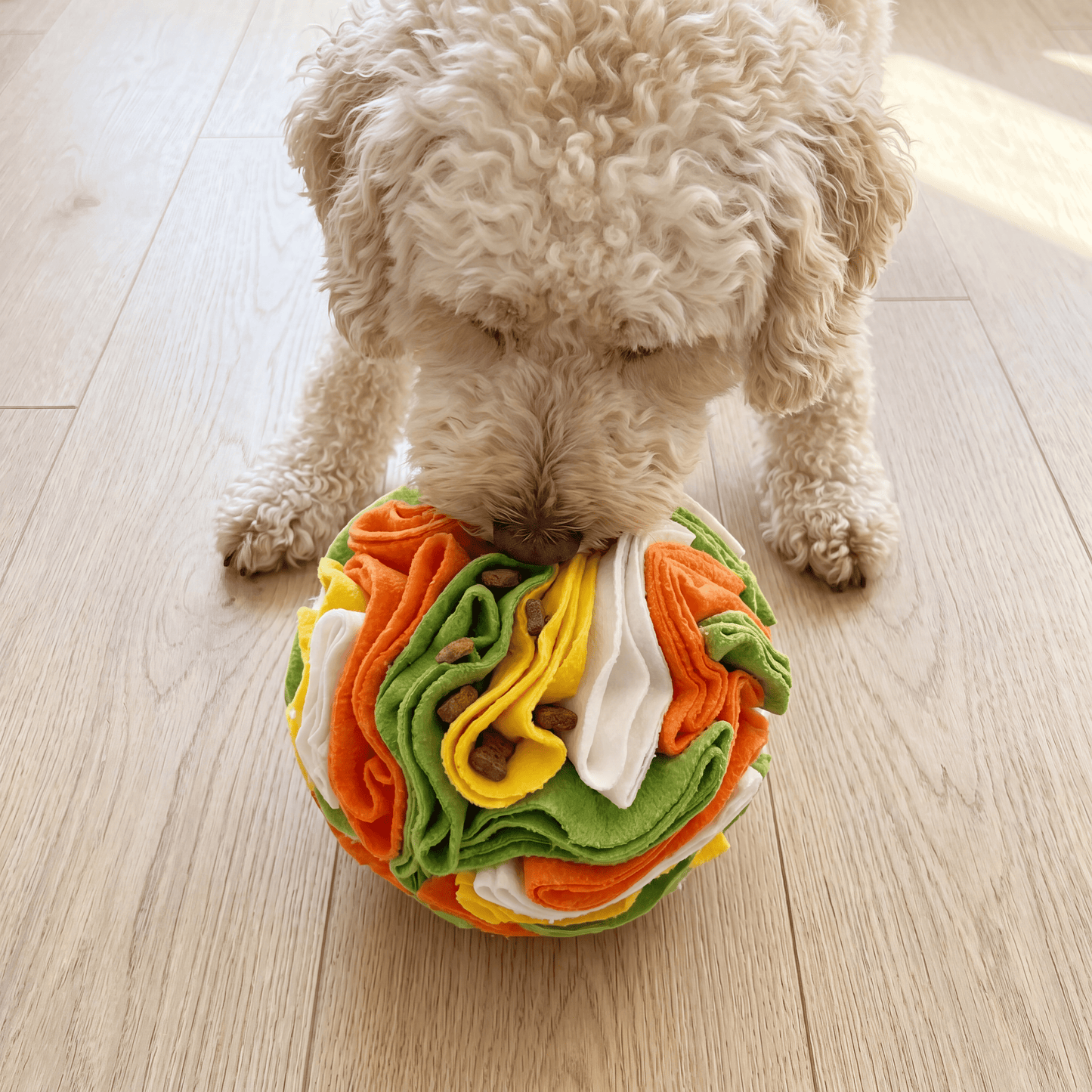 Piłka Węchowa dla Psa – Interaktywna Zabawka Snuffle Ball PlayPals™