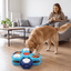 Slow Feeder Puzzle Bowl