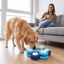 Slow Feeder Puzzle Bowl