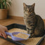 Durable cat litter scoop with foot